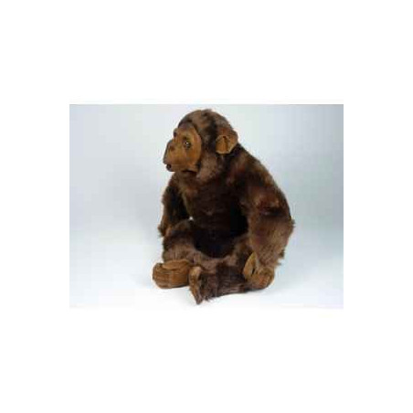  Animaux de la forêt Chimpanzé 40 cm assis peluche réaliste Piutre 2570
