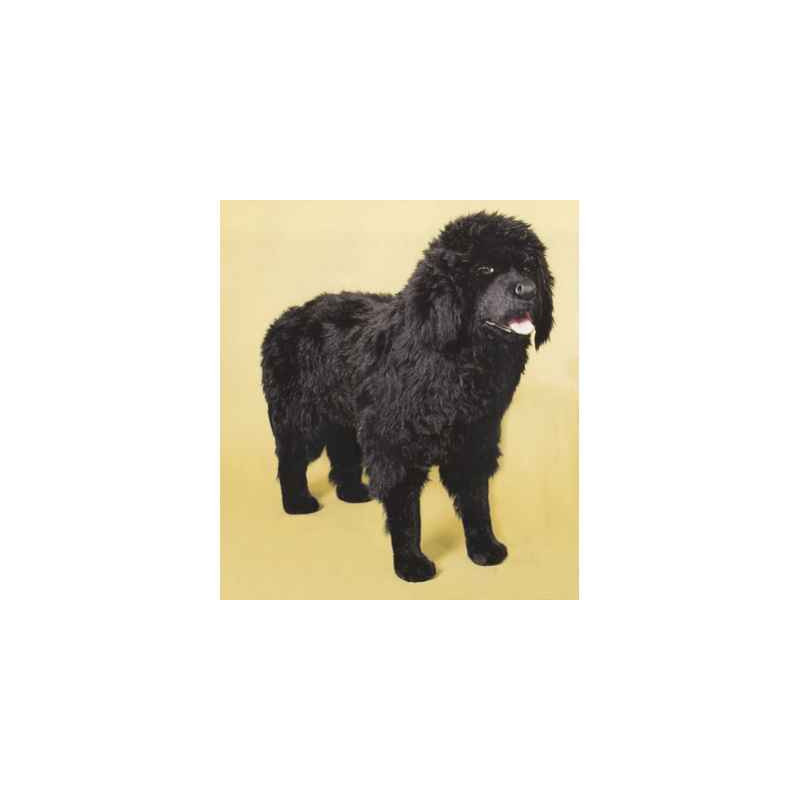 Animaux-Bois-Animaux-Bronzes propose Chien Terre Neuve 115 cm peluche animaux debout réaliste Piutre 2231