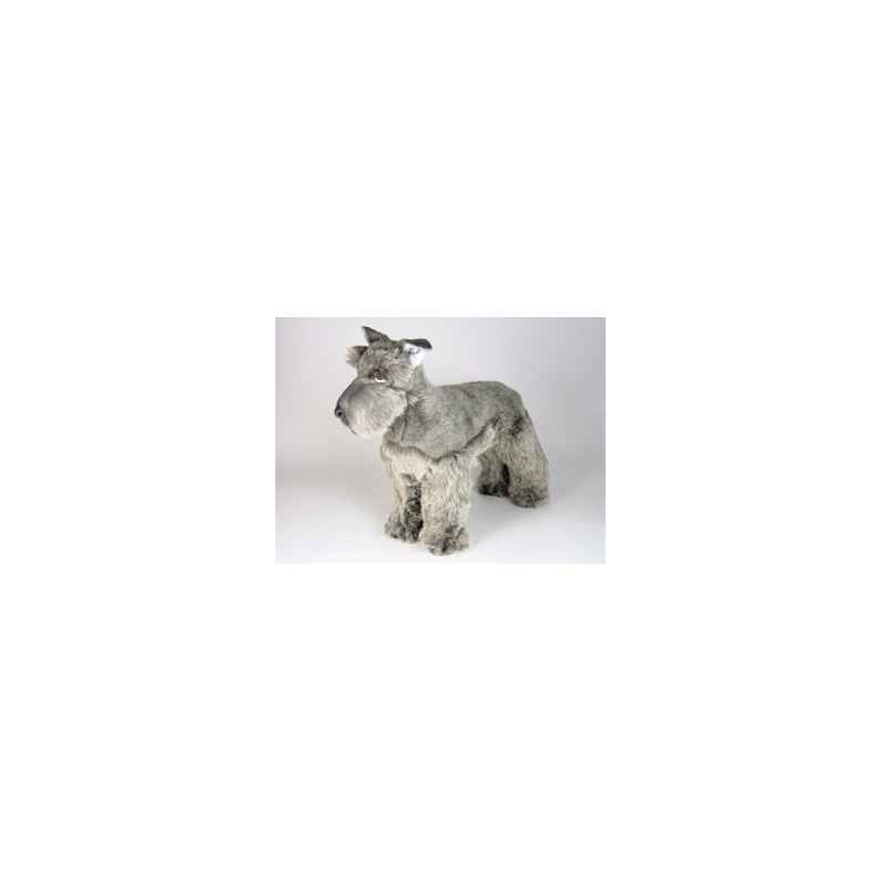 Animaux-Bois-Animaux-Bronzes propose Chien Schnauzer 50 cm peluche animaux debout réaliste Piutre 1205