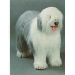 Animaux-Bois-Animaux-Bronzes propose Chien Old english sheepdog 100 cm peluche animaux debout réaliste Piutre 3290