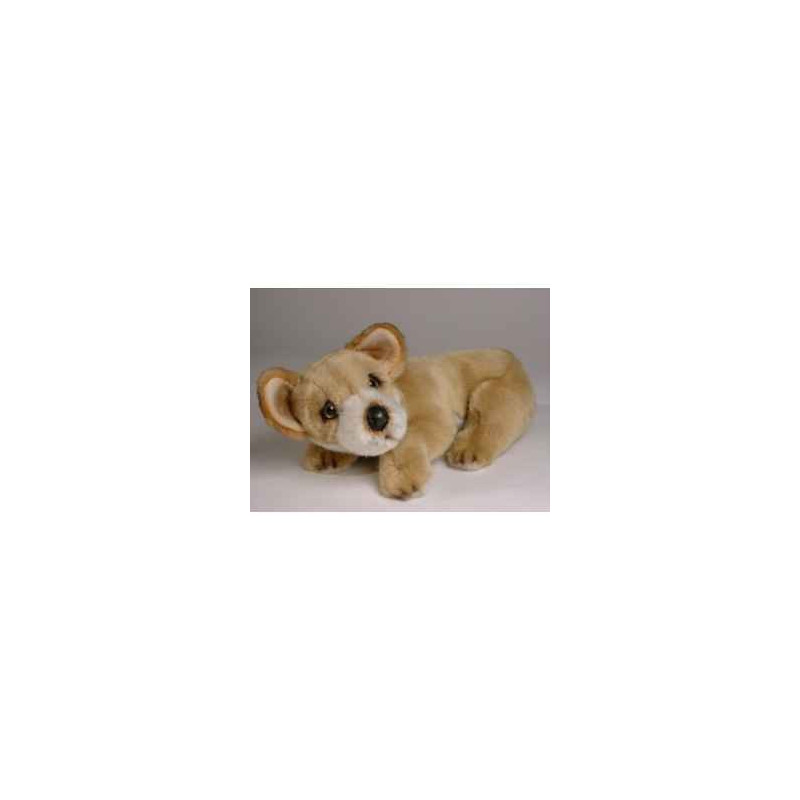 Animaux-Bois-Animaux-Bronzes propose Chien Chiwawa 35 cm peluche animaux allongés réaliste Piutre 3238