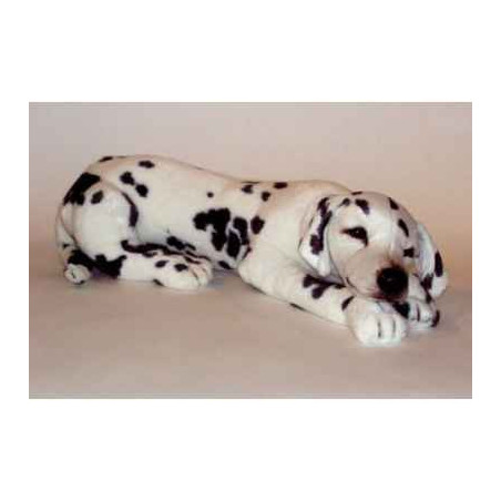 Animaux-Bois-Animaux-Bronzes propose Chien Dalmatien t.b. 80 cm peluche animaux allongés réaliste Piutre 3245