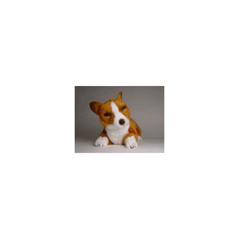 Animaux-Bois-Animaux-Bronzes propose Chien Welsh Corgi Pembroke 40 cm peluche animaux allongés réaliste Piutre 1223