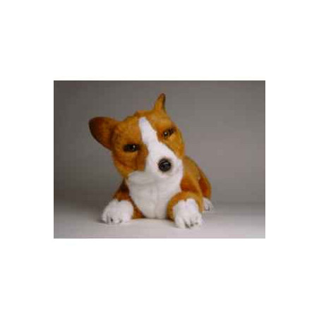 Animaux-Bois-Animaux-Bronzes propose Chien Welsh Corgi Pembroke 40 cm peluche animaux allongés réaliste Piutre 1223