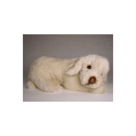 Peluche couchée spinone italien 45 cm Piutre   2264