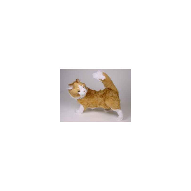 Animaux-Bois-Animaux-Bronzes propose Chat maine coon 60 cm peluche animaux debout réaliste Piutre