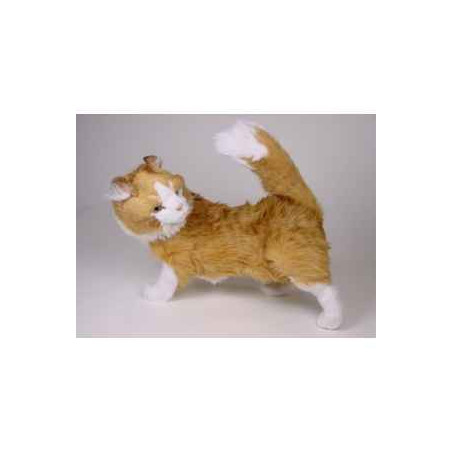 Animaux-Bois-Animaux-Bronzes propose Chat maine coon 60 cm peluche animaux debout réaliste Piutre