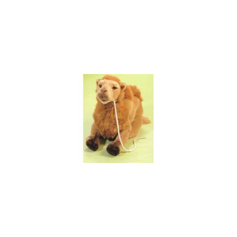  Animaux du désert Chameau 55 cm peluche animaux allongés réaliste Piutre 2559