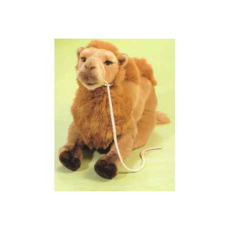  Animaux du désert Chameau 55 cm peluche animaux allongés réaliste Piutre 2559