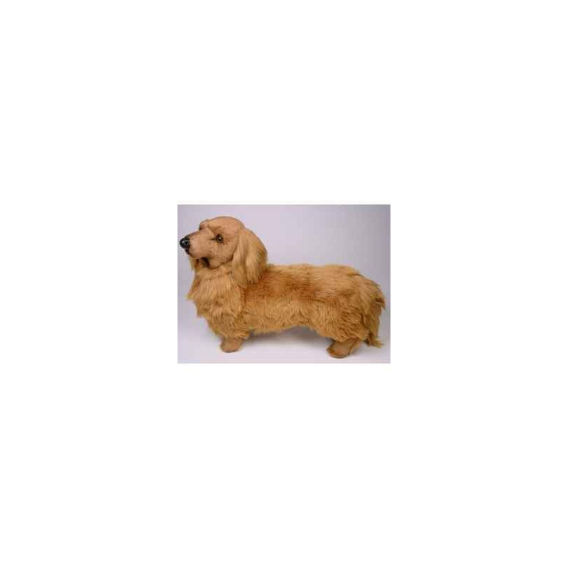 Animaux-Bois-Animaux-Bronzes propose Chien Teckel dachshund, poils longs 60 cm peluche animaux debout réaliste Piutre 2251