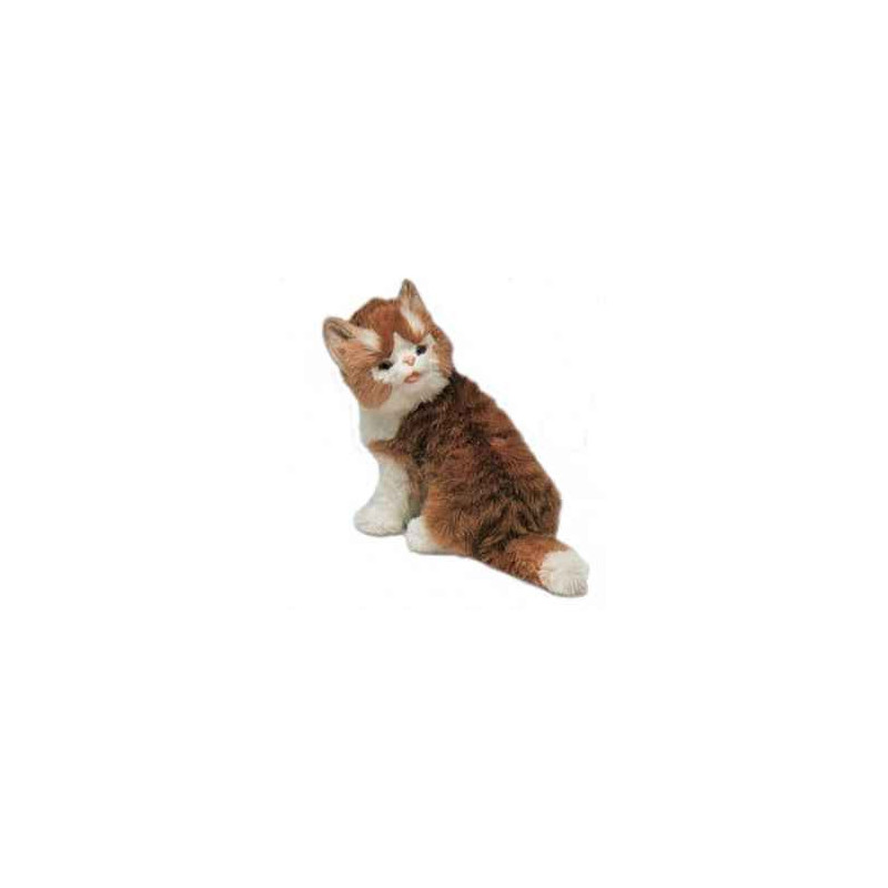 Peluche assise chat maine coon 30 cm Piutre   2381