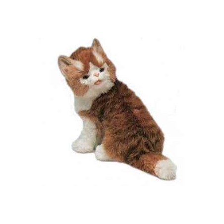 Peluche assise chat maine coon 30 cm Piutre   2381