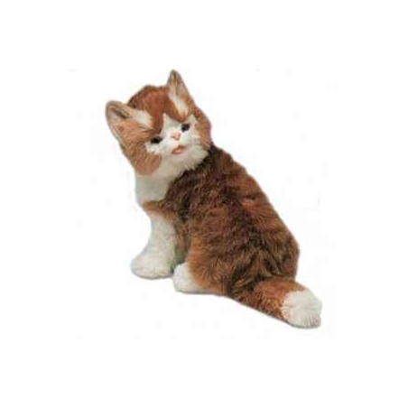 Animaux-Bois-Animaux-Bronzes propose Chat maine coon 30 cm assis réaliste Piutre