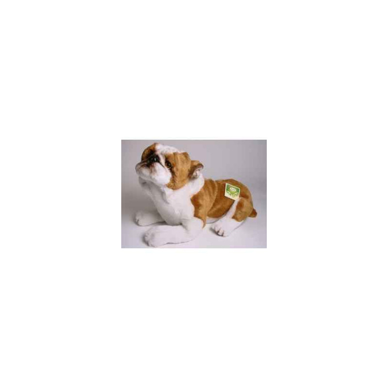 Animaux-Bois-Animaux-Bronzes propose Chien English bull-dog 42 cm peluche animaux allongés réaliste Piutre 2272