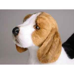 Animaux-Bois-Animaux-Bronzes propose Chien Beagle 45 cm peluche animaux debout réaliste Piutre 2244