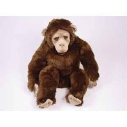  Animaux de la forêt Chimpanzee 60 cm assis peluche réaliste Piutre 2571