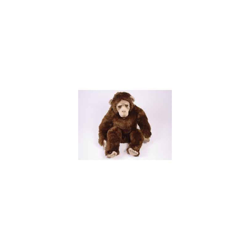  Animaux de la forêt Chimpanzee 60 cm assis peluche réaliste Piutre 2571