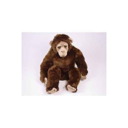  Animaux de la forêt Chimpanzee 60 cm assis peluche réaliste Piutre 2571