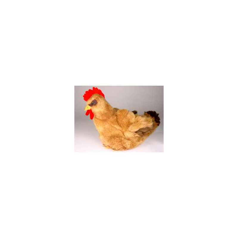  Animaux de la ferme Poule marron 40 cm peluche réaliste Piutre 701