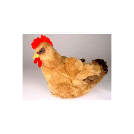  Animaux de la ferme Poule marron 40 cm peluche réaliste Piutre 701