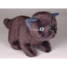 Peluche debout chaton 20 cm Piutre   2448