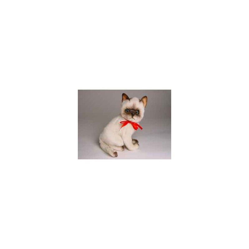 Peluche assise chat siamois 30 cm Piutre   2322