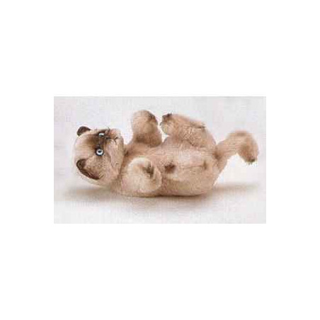 Peluche Playing chat persan Colourpoint 20 cm Piutre   2363