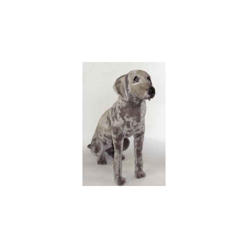 Animaux-Bois-Animaux-Bronzes propose Chien Braque de Weimar 90 cm assis peluche réaliste Piutre 3351