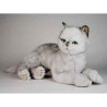 Peluche allongée chat british poils Coeurts 45 cm Piutre   2461