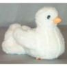  Animaux de la ferme Poussin de colombe blanc cm peluche réaliste Piutre 719