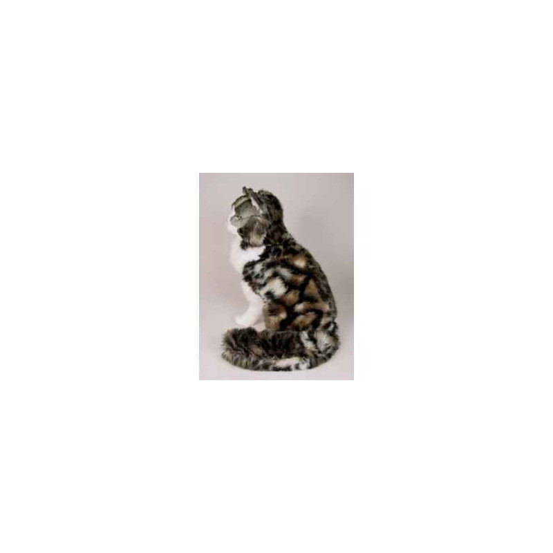 Animaux-Bois-Animaux-Bronzes propose Chat de Norvège 50 cm assis réaliste Piutre