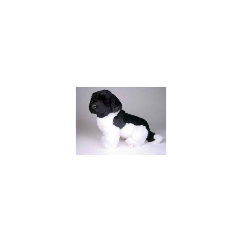 Animaux-Bois-Animaux-Bronzes propose Chien Terre Neuve noir/blanc 40 cm assis peluche réaliste Piutre 2238