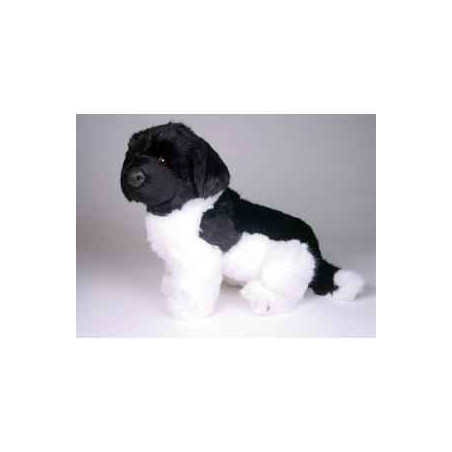 Animaux-Bois-Animaux-Bronzes propose Chien Terre Neuve noir/blanc 40 cm assis peluche réaliste Piutre 2238