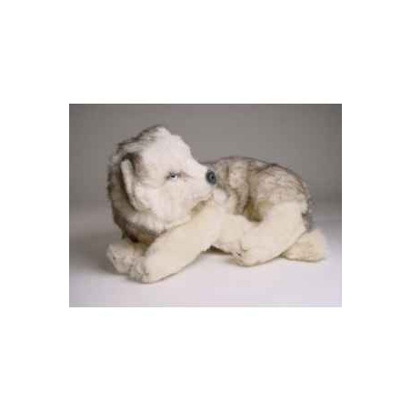 Animaux-Bois-Animaux-Bronzes propose Chien Husky de Sibérie 45 cm peluche animaux allongés réaliste Piutre 2213
