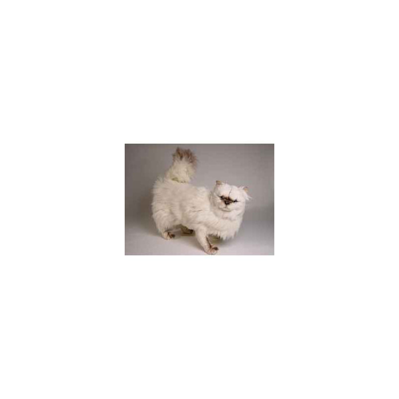 Animaux-Bois-Animaux-Bronzes propose Chat Colourpoint ou himalaya 50 cm peluche animaux debout réaliste Piutre