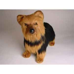 Animaux-Bois-Animaux-Bronzes propose Chien Yorkshire terrier 35 cm peluche animaux debout réaliste Piutre 3297