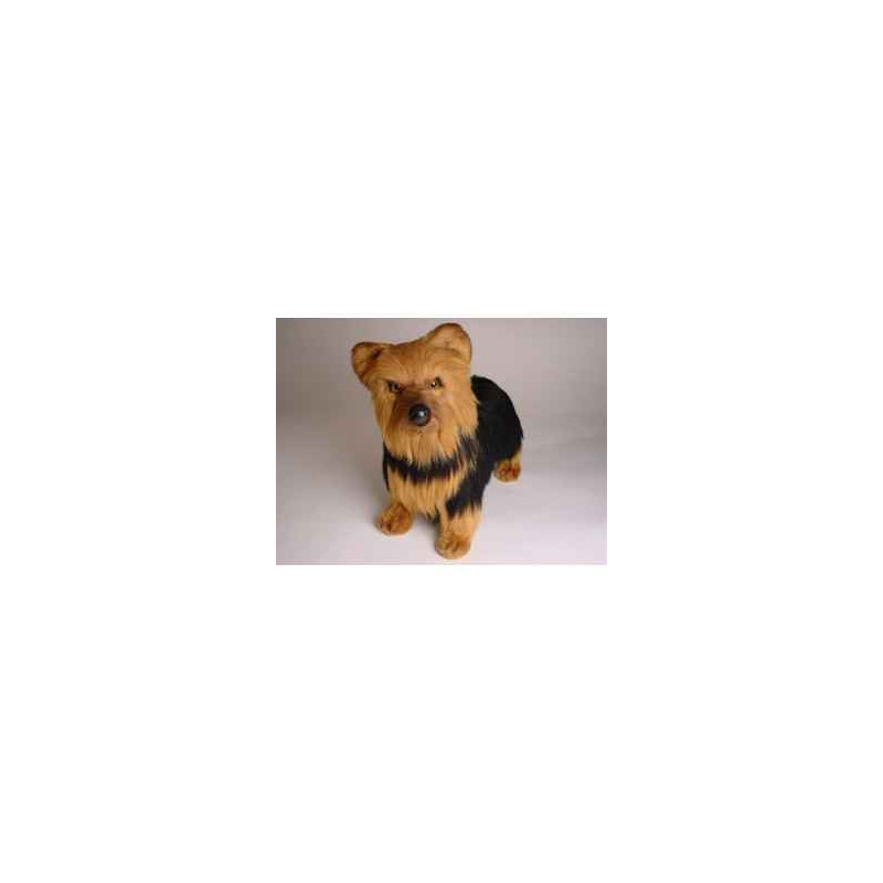 Animaux-Bois-Animaux-Bronzes propose Chien Yorkshire terrier 35 cm peluche animaux debout réaliste Piutre 3297