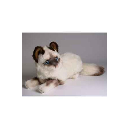 Peluche allongée chat birman 30 cm Piutre   2314