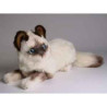 Animaux-Bois-Animaux-Bronzes propose Chat birman 30 cm peluche animaux allongés réaliste Piutre