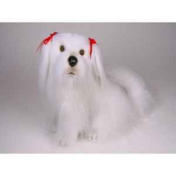 Animaux-Bois-Animaux-Bronzes propose Chien Bichon maltais 45 cm assis peluche réaliste Piutre 1229