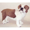 Animaux-Bois-Animaux-Bronzes propose Chien English bull-dog 62 cm peluche animaux debout réaliste Piutre 2270