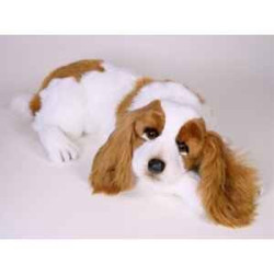 Animaux-Bois-Animaux-Bronzes propose Chien Epagneul cavalier king charles 55 cm peluche animaux allongés réaliste Piutre 1291
