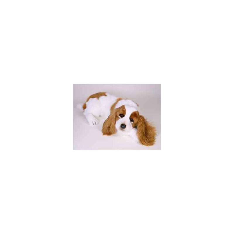 Animaux-Bois-Animaux-Bronzes propose Chien Epagneul cavalier king charles 55 cm peluche animaux allongés réaliste Piutre 1291