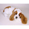 Peluche allongée Epagneul cavalier king charles 55 cm Piutre   1291