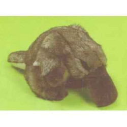 Animaux marins Ornithorynque 45 cm peluche réaliste Piutre 2680
