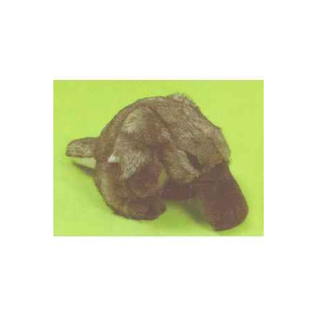 Animaux marins Ornithorynque 45 cm peluche réaliste Piutre 2680