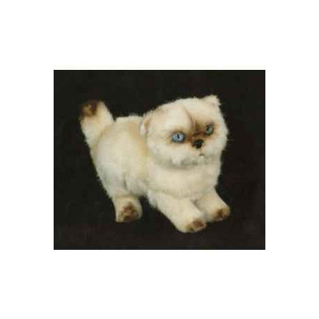 Peluche debout chat couleur point ou himalaya 20 cm Piutre   2434