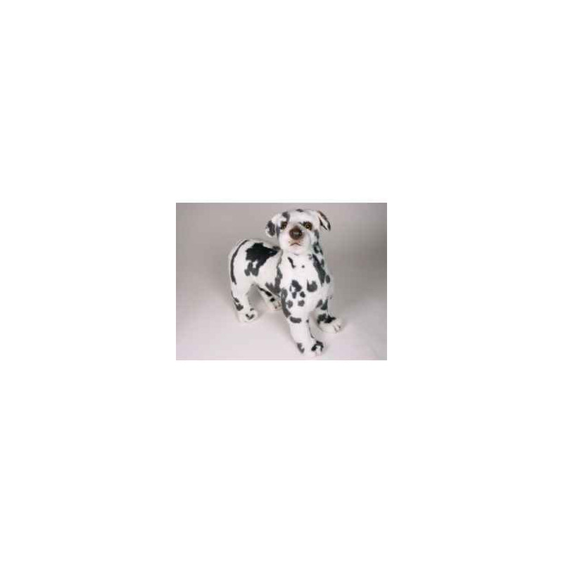 Animaux-Bois-Animaux-Bronzes propose Chien Grand Danois Harlequin 45 cm peluche animaux debout réaliste Piutre 3331