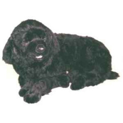 Animaux-Bois-Animaux-Bronzes propose Chien Terre Neuve 110 cm peluche animaux allongés réaliste Piutre 2233