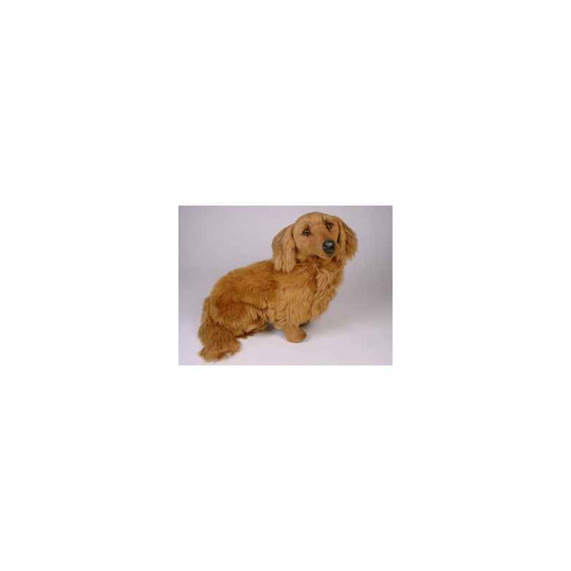 Animaux-Bois-Animaux-Bronzes propose Chien Teckel dachshund, poils longs 60 cm assis peluche réaliste Piutre 2252